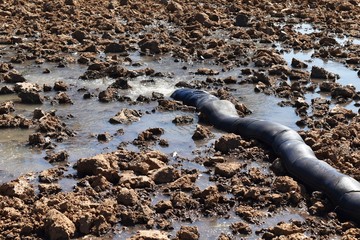 drain water in rice field prepare plant rice
