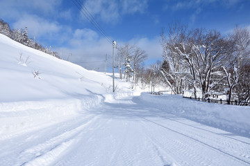Obraz premium 雪に覆われた道路