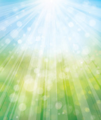 Naklejka premium Vector summer, nature background, blurred effect.