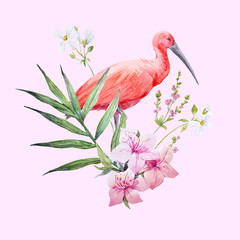 Watercolor ibis bird vector composition - obrazy, fototapety, plakaty