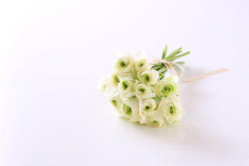 白バックに白い花のブーケ