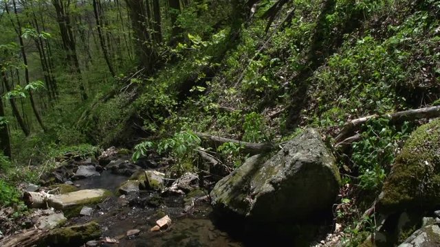 a mountain hillside buffer to a stream