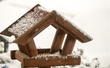 Vogelhaus mit Futter im Winter 