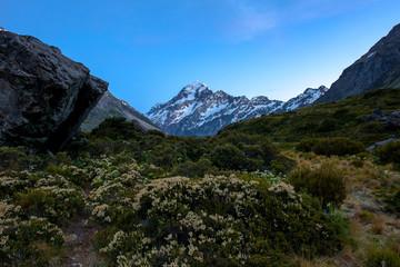 landscape of mt.cook national park, New Zealand