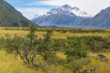 landscape of mt.cook national park, New Zealand