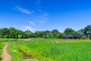 北山公園