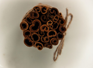bundle of cinnamon tied with twine top view
