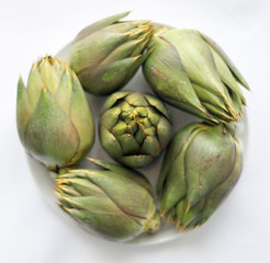 Obraz premium Five artichokes on the white background