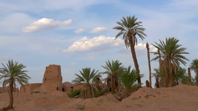 old abandoned adobe village near the palm grove
