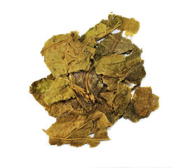 Folium Mori , leaf,  chinese herbal medicine isolated. Sang Ye