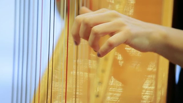 symphony orchestra harp stock footage