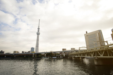 Fototapeta na wymiar Tokyo Skytree Tower with Japan skyline on the sumida river