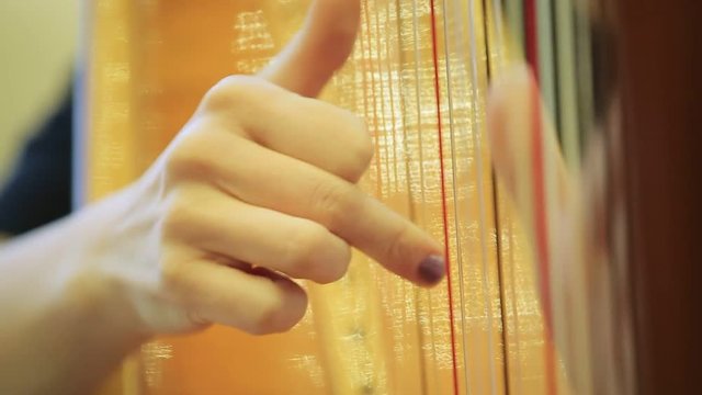 symphony orchestra harp stock footage