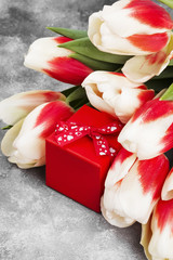 Bouquet of white pink tulips on a gray background