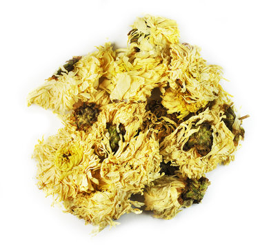 Flos Chrysanthemi, flower,  chinese herbal medicine isolated. Ju Hua