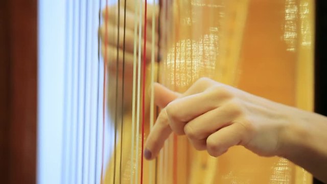 symphony orchestra harp stock footage