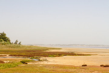 Fototapeta premium lac rose