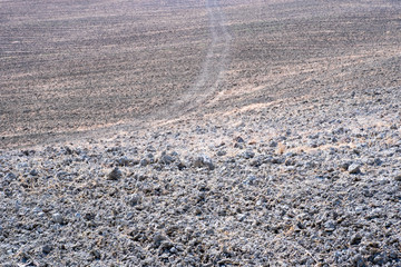 Plowed field ready to be cultivated in Val d'Orcia, Tuscany