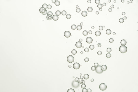 Champagne fizz bubbles
