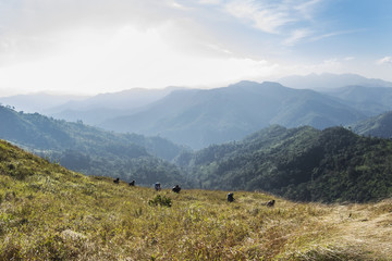 Hiking on the Mountain. Kanchanaburi province. Thailand