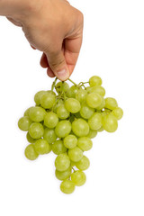 grüne Weintrauben halten vor weißem Hintergrund