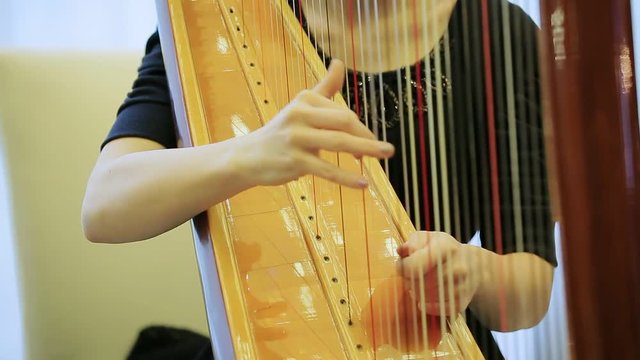 symphony orchestra harp stock footage