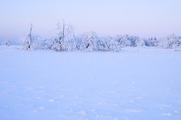 Winterlandschaft im Erzgebirge zum Sonnenaufgang