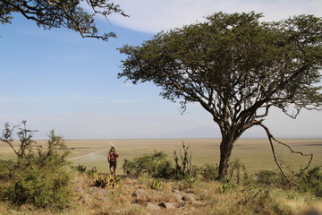 tourist next to tree on a cliff in africa