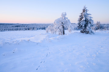 Winterlandschaft im Erzgebirge zum Sonnenaufgang