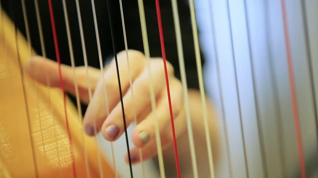 symphony orchestra harp stock footage