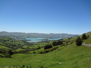 Fototapeta premium banks peninsula (new zealand)