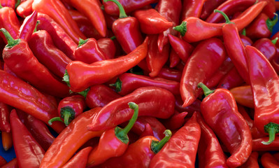 Bulgarian pepper background