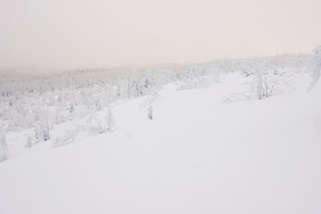 Fototapeta na wymiar Winterlandschaft im Erzgebirge zum Sonnenaufgang