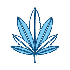 marijuana leaf  vector illustration