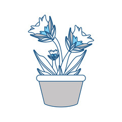flowerpot  vector illustration