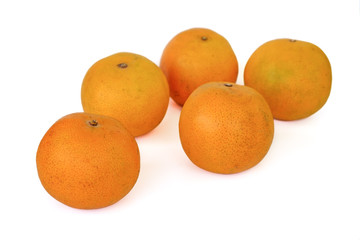 Orange fruit on white background
