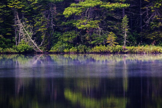 Summer morning in La Mauricie National Park, Quebec, Canada 