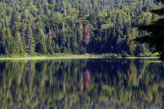 Summer morning in La Mauricie National Park, Quebec, Canada 