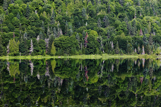 Summer morning in La Mauricie National Park, Quebec, Canada 