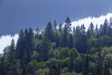 Obraz premium Summer morning in La Mauricie National Park, Quebec, Canada 