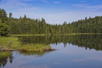 Fototapeta na wymiar Summer morning in La Mauricie National Park, Quebec, Canada 