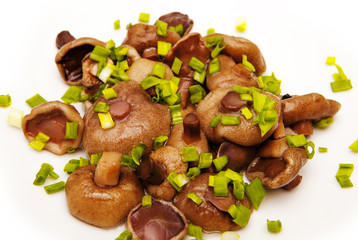 mushrooms with spices on white