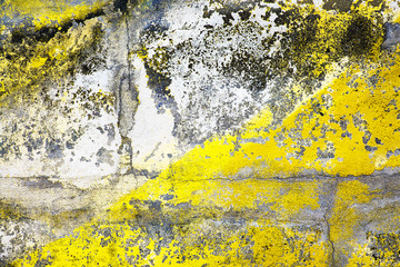 Grunge look of yellow painted old and dirty wall