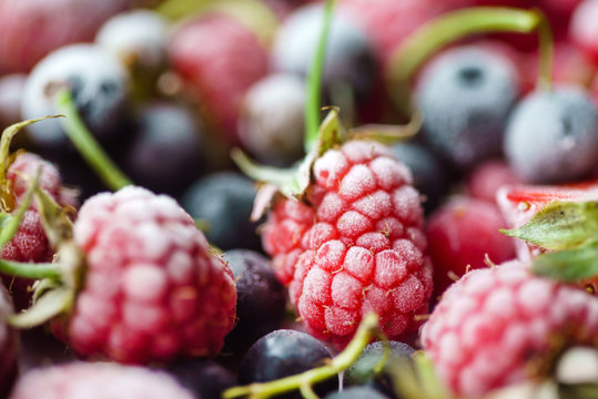 frozen berries closeup