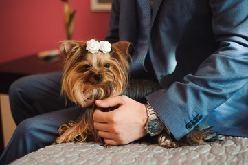 groom with girl dog