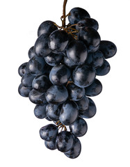 Black grapes isolated