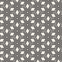 Vector seamless lattice pattern. Modern stylish texture with monochrome trellis. Repeating geometric grid. Simple design background.