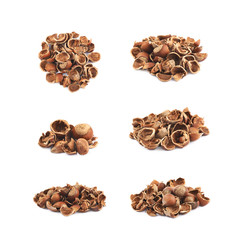 Pile of hazelnut shells isolated