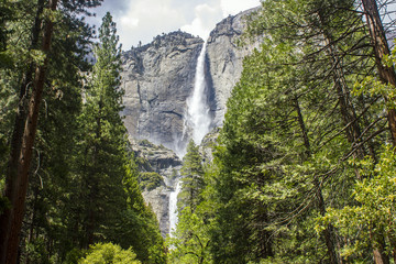 Yosemite Falls Spring 2016
