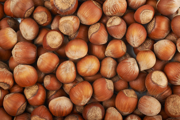 Surface coated with hazelnuts